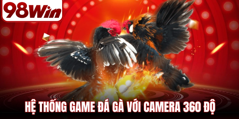 98WIN | 98WIN.COM - Website Trang Chủ 98Win01 Chính Thức Mới Nhất 2026 13 Hệ thống game đá gà với camera 360 độ