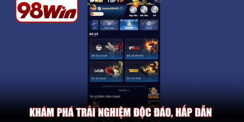 Đá Gà 98WIN – Sảnh Chiến Thuật Hấp Dẫn, Cơ Hội Thắng Cao 1 đá gà 98WIN